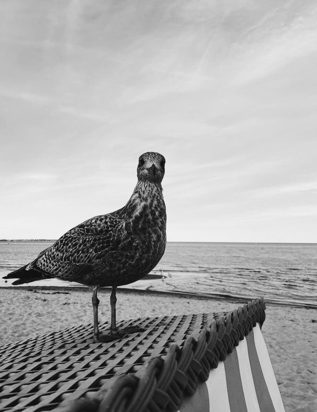 Kiel, Renovierte Innenstadtwohnung, 24H Check-In, 2 Kostenlose Fahrraeder Buitenkant foto